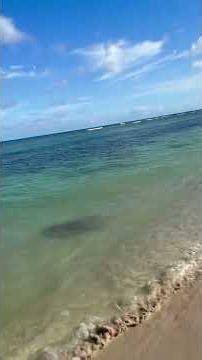 Hawaii beach walk relaxing