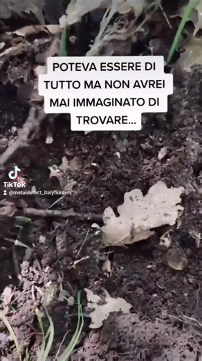 S ti piacciono i miei contenuti seguimi su Instagram, Telegram e YouTube 🔥🙏🏻 #ww2 #german #badge #ferito #military #wow #tiktokitalia