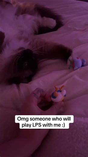 My last account was banned for literally no reason so let’s rebuild I guess :( #lps #lpscommunity #littlestpetshop #lpstube #lpsskit