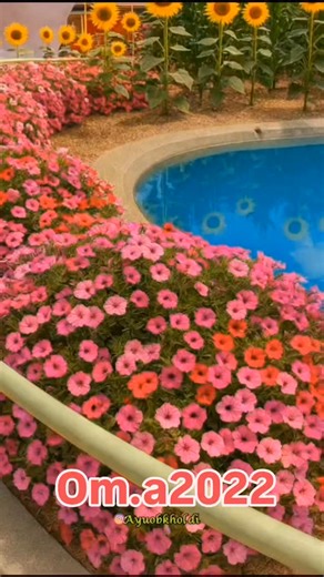 ‎گلستانی‎ on Instagram