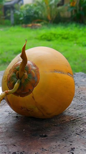 অযোগ্য ভালোবাসা: খারাপ ভালোবাসার গল্পের দ্বাদশ পর্ব