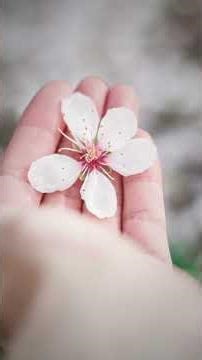 What do you think about yourself? 🪞 – Daily devotional by Joyce Meyer | March 23