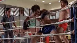 Duel of Fists (1971)