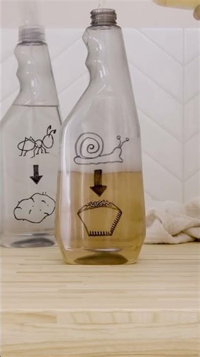 DIY garden spray to keep snails away 🐌🌱
