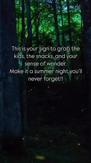 3.6K views · 1.5K reactions | It’s Firefly Season in Utah – But...