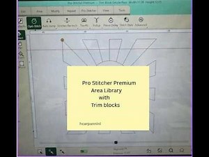 Pro Stitcher Premium Area Library combined with Trim Blocks = a new technique with your longarm.