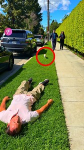 31K views · 198 reactions | Seu animal faria o mesmo? . . . (Apenas para fins de entretenimento. Consulte profissionais se forem apresentadas orientações sobre atividades. Nenhuma afiliação a marcas está implícita se alguma for mostrada. Se inspirado em fatos reais, podem ser incluídas adaptações criativas. O conteúdo pode incluir imagens públicas.) | Tudo o que você precisa é de diversão | Facebook