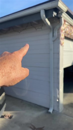 How to Stop Rats from Getting into Your Gutters