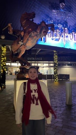 Bad Lip Syncing Moments in Harry Potter TikTok