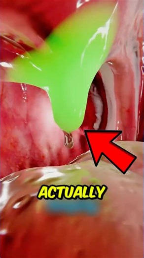 If you ever wondered what that thing in your throat does