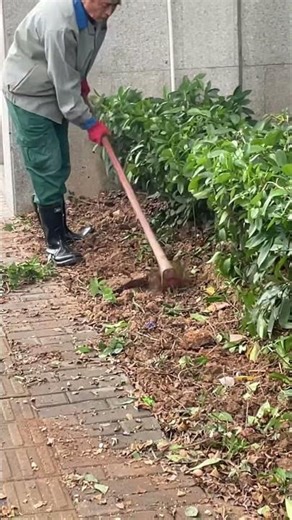 Manually dig and tidy up the ground🧑‍🌾⛏️Hand-dig and level the soil🌱🧑‍🌾 #hand #Hand-dig #grounded