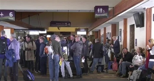 Bird strike forces flight to return to BZN