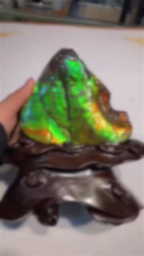 #斑彩石ammolite #斑彩菊石 #加拿大斑彩石 #水龙珠 新货上新双面水龙珠料