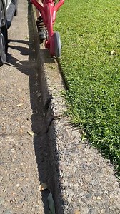 11K views · 252 reactions | Want to get crispy lawn edges? Hard to beat a blade edger like this Atom Edger | Turf And Tools | Facebook