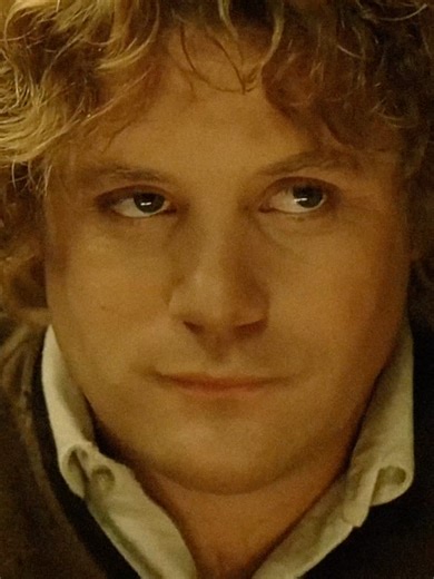 Samwise and Frodo: A Tribute Animation