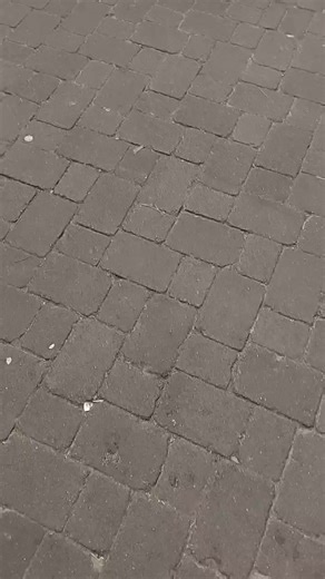 Barnstaple Pannier Market on Reels