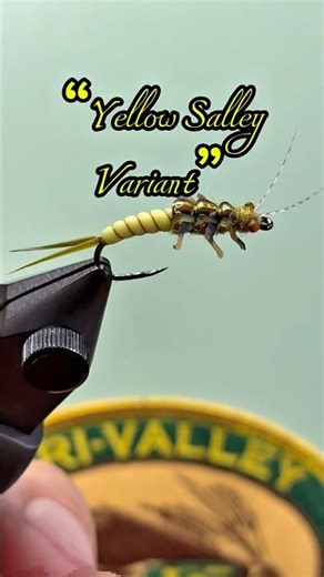 Yellow Sally Nymph Variant/ First time using ‪@tiesflies‬ poly rib. #trivalleyflyfishers #fishing