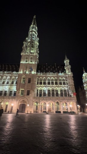 The Grand Place in Brussels is one of the most beautiful squares in all of Europe. And from where I’m standing, it’s pretty hard to argue with. #travel #europe #architecture #datenight #fyp