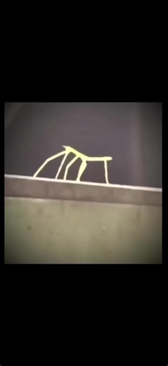 #frp #fyp #fyppp #minecraft