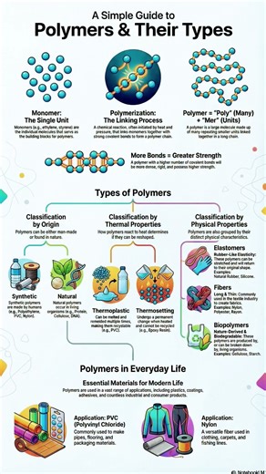Polymer and its Types Class:12th Chemistry