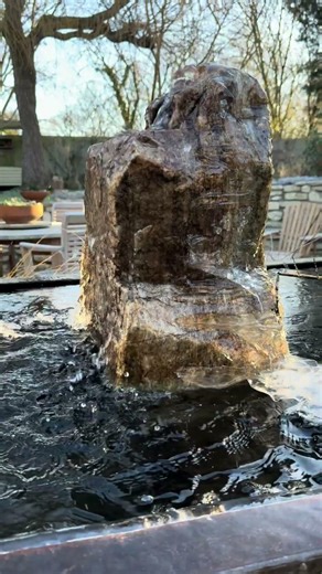 Mornings this cold are rare it’s -6 today creating intricate ice forms on the tank #gardenerben