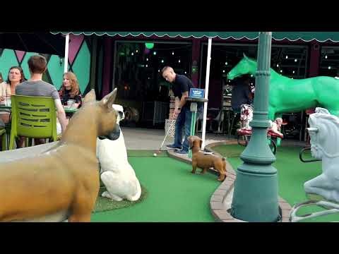 Mini Golf Trick Shots That Broke Physics