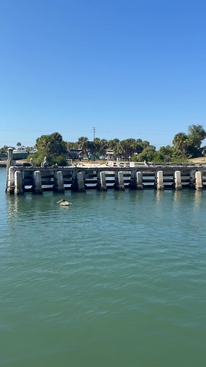 Happy Thanksgiving week! 🦃 Pelican Alley will be closed on Thanksgiving Day - but we’ll be open on Tuesday to make up for it. Hope to see you! ☀️💕 | Pelican Alley Restaurant