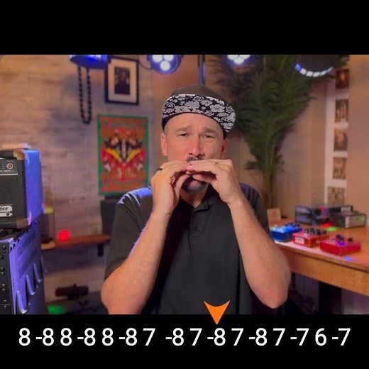 Miserlou on Harmonica? (Lee Oskar E Harmonic Minor)