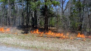 What is a burn ban and what does it mean for Arkansans?