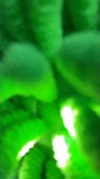 YOU ARE IN THE ALIEN EGG👽 #asmr #scaryjerryasmr #tingles #asmrtriggers #triggerassortment