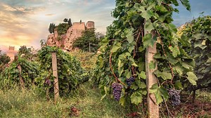 4K views · 19 reactions | Come along to our Holiday and Cruise show...