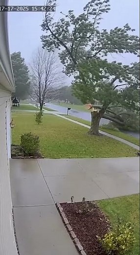 Tree Falls Toward House - Stops Inches Away!