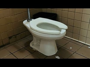 Gerber and American Standard Madera Toilet Flushes | Vincent Lugo Park, San Gabriel, California