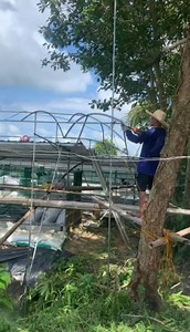 4.3K views · 26 reactions | The construction of cove at the LUMARIA Native Chicken Farm in Balabag, Dumangas, Iloilo (video credit to Pert Henry Magbanua). | Philippine Native Chicken | Facebook