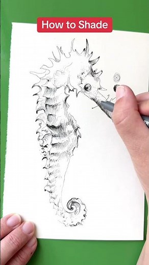 The basics of shading using pen and ink #howtodraw #crosshatching #pendrawing