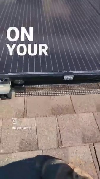 What's living under your solar panels?.. 🧐 How to get rid of pigeons for good 🚫🐦 #solarpanels