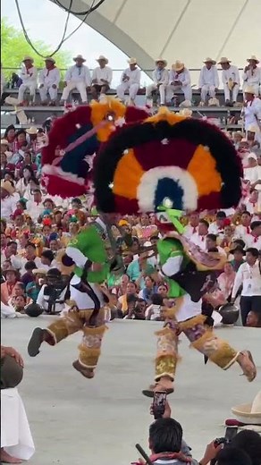 Danza de las Plumas: tradición ancestral 🇲🇽🪶✨#shorts
