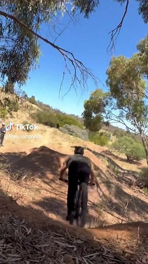 Canyon Torque Whip Bike: The Ultimate Ride for Extreme Sports