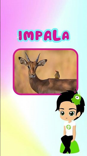 ANIMAIS COM A LETRA I - ALFABETO FONÉTICO- INFANTIL - APRENDER A LER -KIDS
