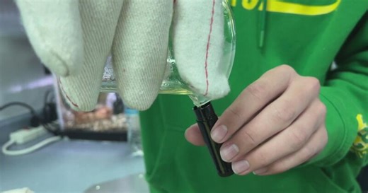 Arvada West students use dry lips crisis as part of school s career and technical education | Regis University