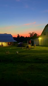 5.7K views · 1.1K reactions | Sunset GRADATION for...