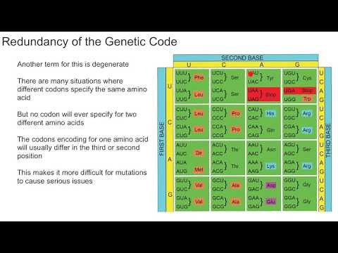 Redundancy of the Genetic Code