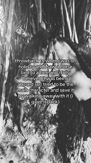 Missed Moment with Spirit: Rescuing a Tied Horse