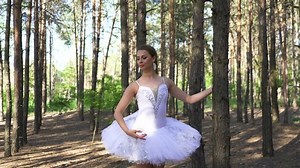 Skill Attractive Ballerina Woman Tutu Dancing Stock Footage Video (100% Royalty-free) 1030365863 | Shutterstock