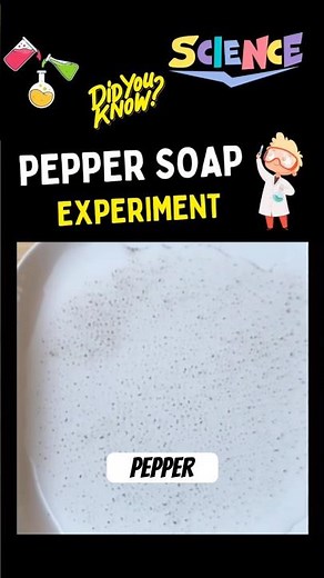 Explore science in action with this easy Pepper and Soap Experiment for kids #scienceforkids #kids