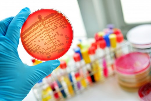 Staphylocoque : c'est quoi, durée, contagieux ?