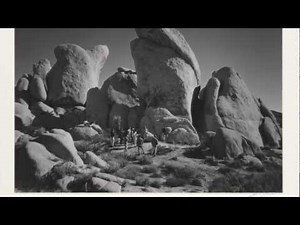 Ansel Adams' Zone System: Joshua Tree