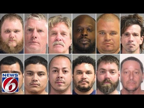 Volusia Sheriff's Office releases footage showing 12 suspects in sex predator operation