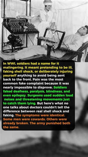 They Were Labeled Cowards. But the Truth Was Far More Disturbing.