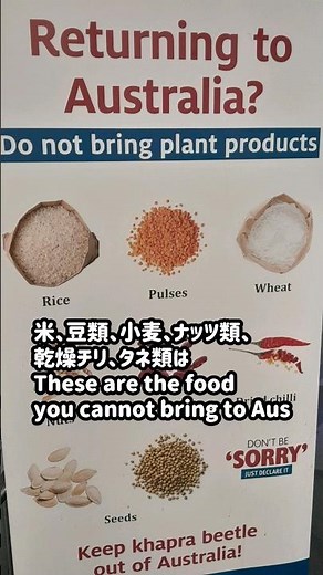 オーストラリア持ち込み禁止の食べ物 メルボルン空港にて You cannot bring these to Australia